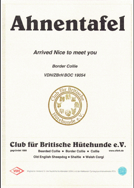 Ahnentafel Arriva